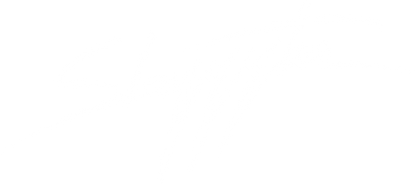 slayyyter